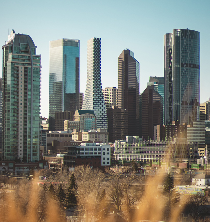 Downtown Calgary with blurred out grasses in the foreground.