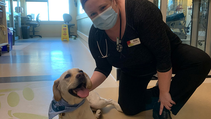 MRU alumna Holly Feist poses in nursing scrubs next to a yellow lab therapy dog in the hospital.