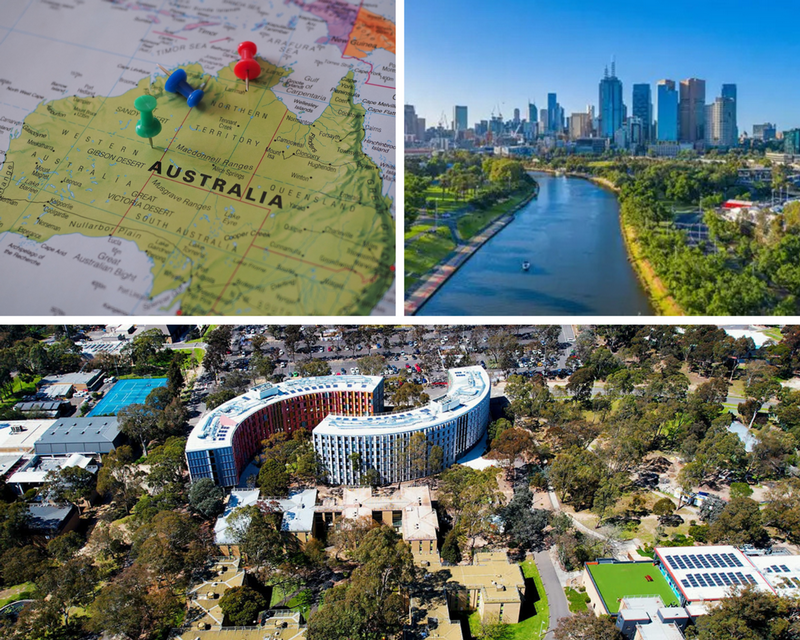 Australia Field School Collage