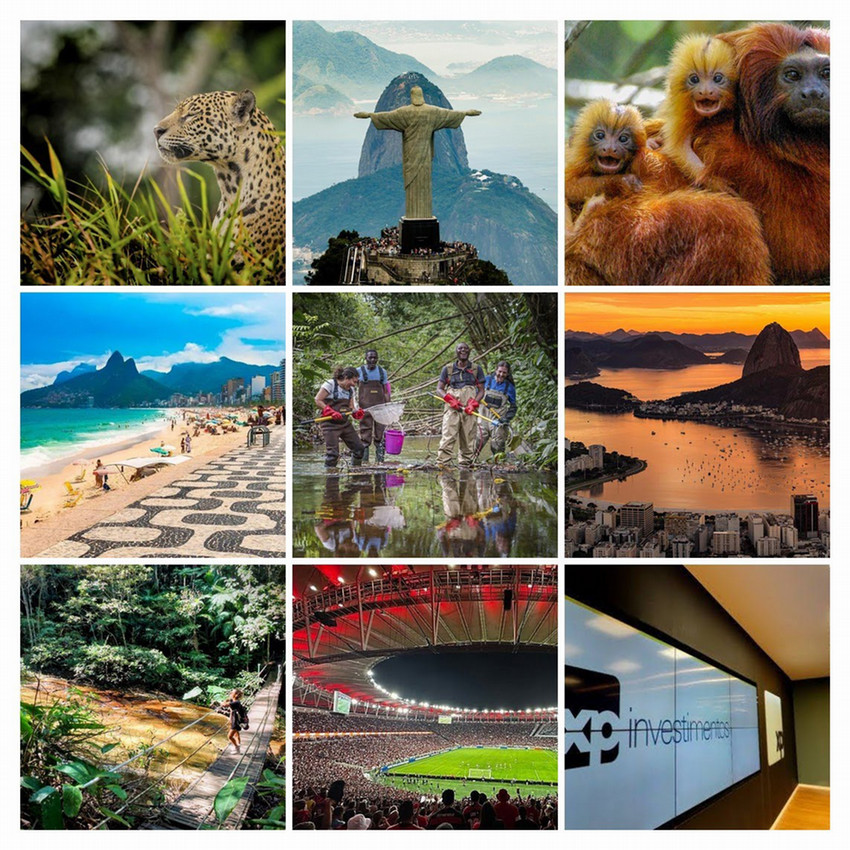Brazil Field School Colalge