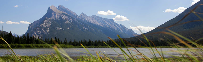 Photo of the Rocky Mountains from a highway with prairie grasses in the foreground.