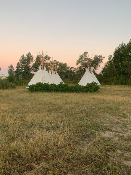 Four tipis standing at a distance with the sun rising in the background. Each tipi fit around 6-8 people comfortably.
