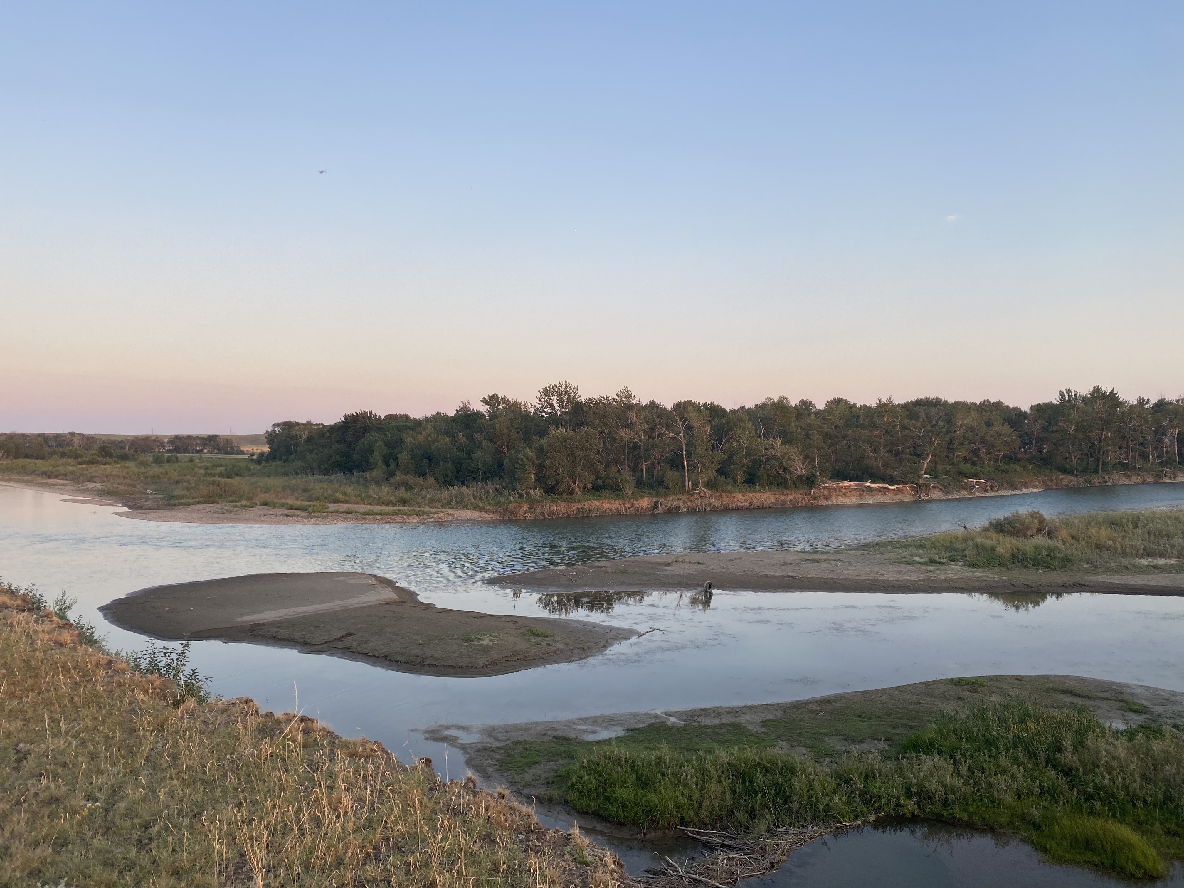 A river with a small wooded area across the water. There are several sandy islets.