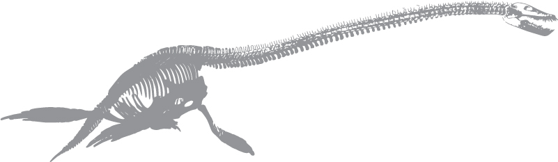 Elasmosaurus