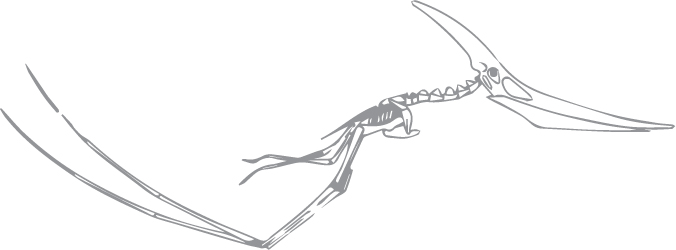 Pteranodon