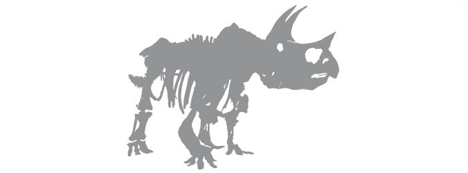 triceratops