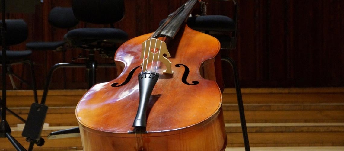 Private double bass lessons MRU