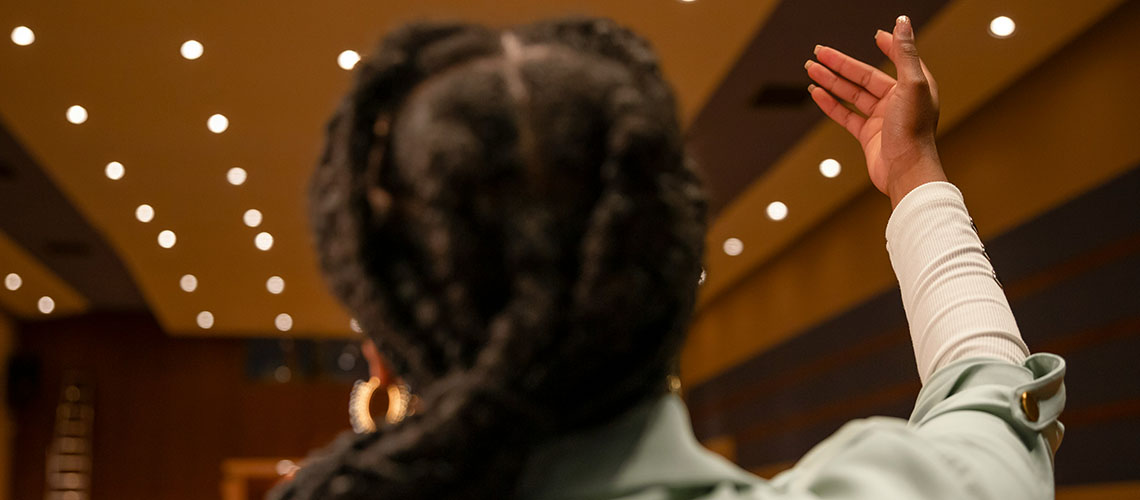 Artistic photo of a conductor conducting from behind.