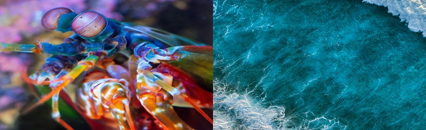 2026 Research & Scholarship Days