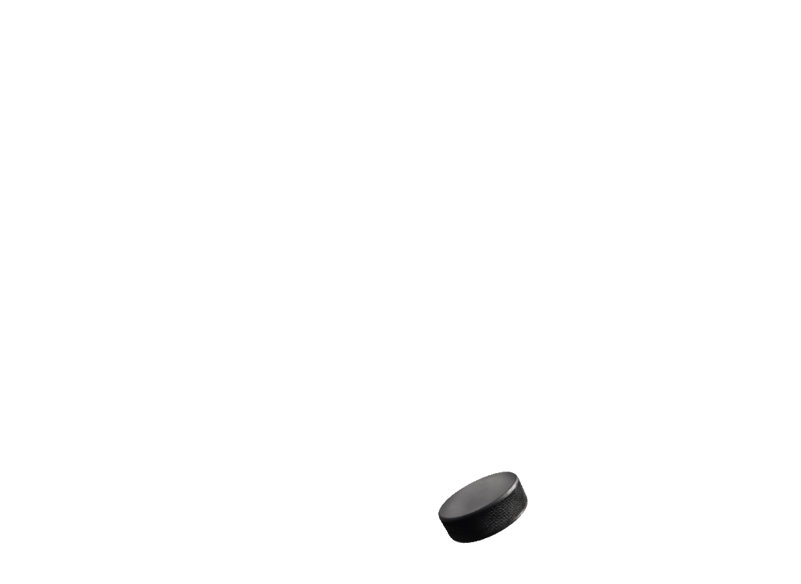 A hockey puck.