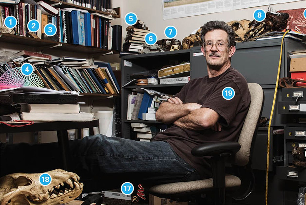 Organized Chaos: Mike Clark