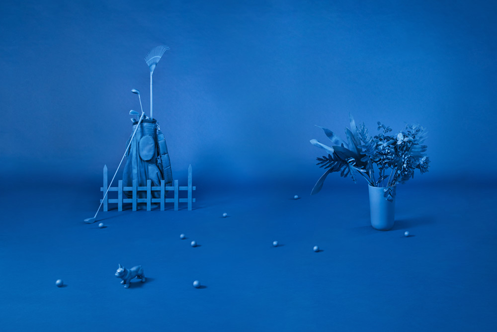 Photo of a blue backdrop with blue painted golf bag, plant and ceramic dog figure.