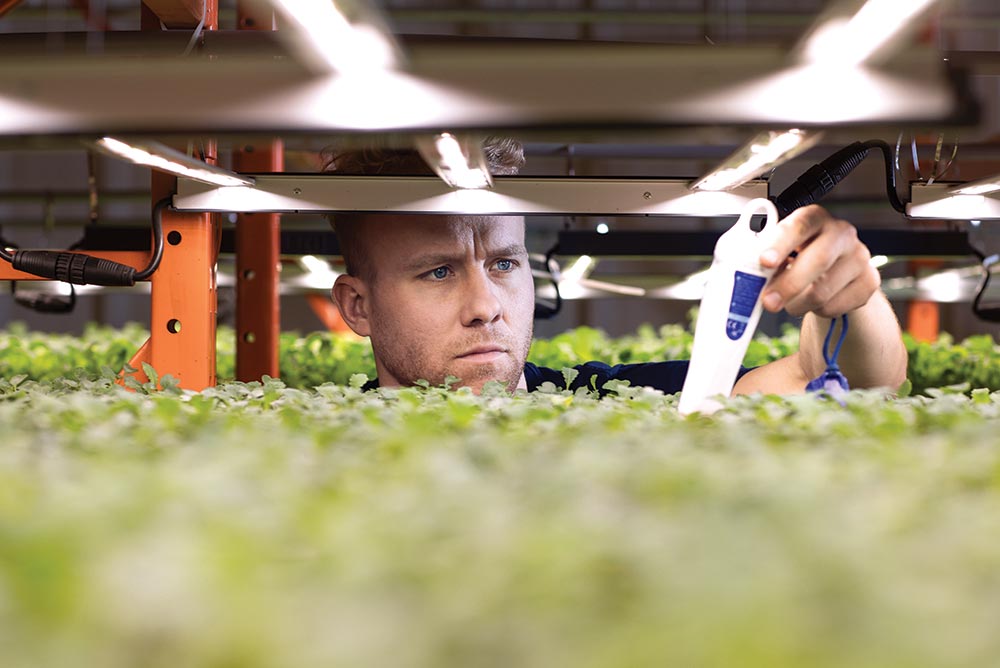 Alumnus Paul Shumlich uses a piece of equipment to check the aquaponics farm at Deepwater Farms