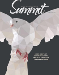 Cover of Summit Fall/Winter 2017 issue: An dove illustrated as a bunch of triangles