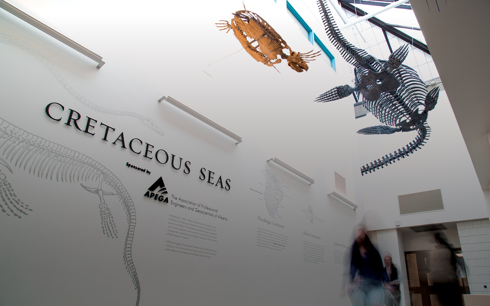 Cretaceous seas comes to life