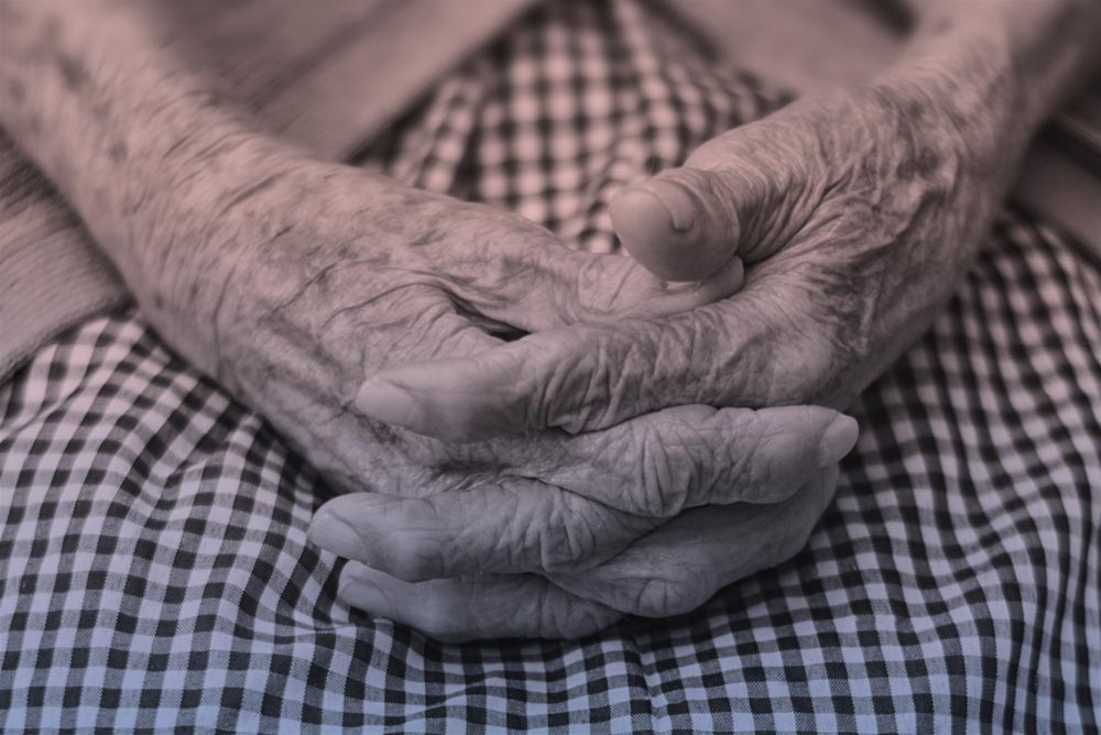 A close up photo of an older person's hands.