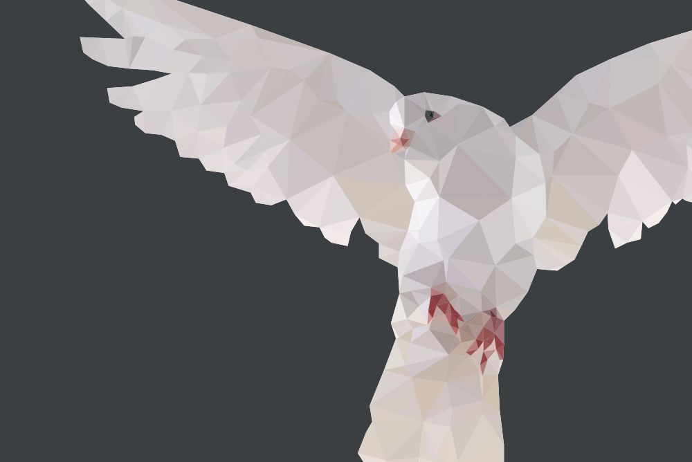 A geometric dove
