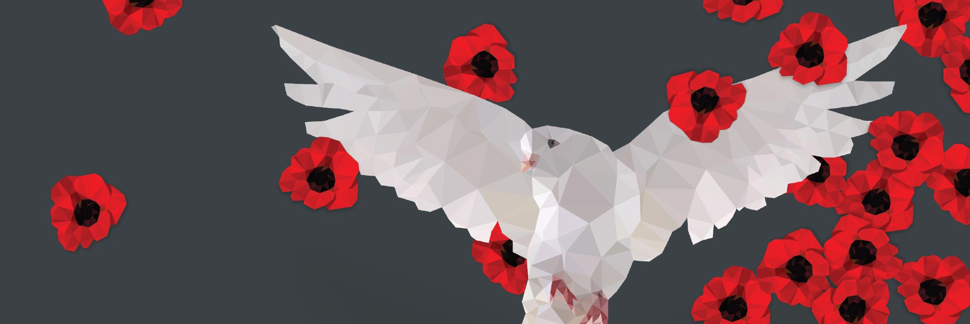 A geometric dove