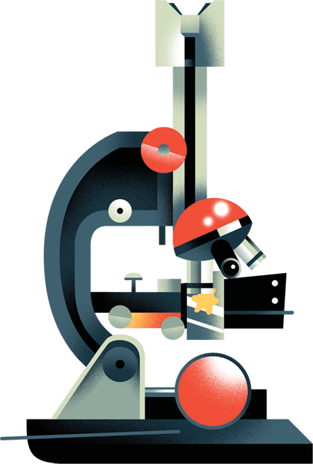 Illustration of a microscope