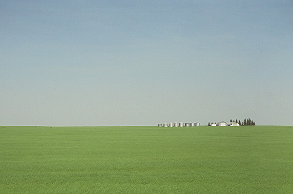 A photo of a green farm field with agricultural buildings in the distance.
