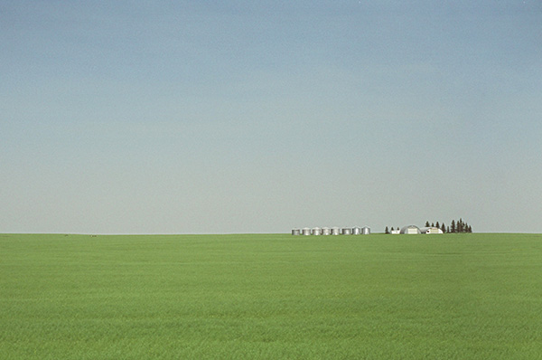 A photo of a green farm field with agricultural buildings in the distance.