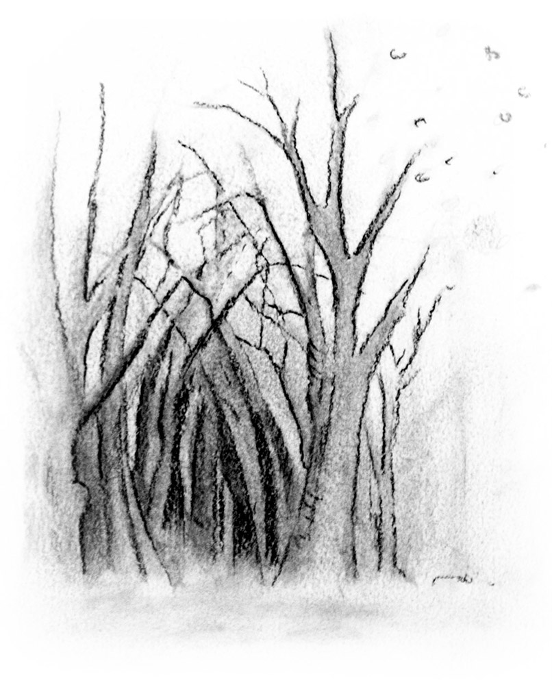 A charcoal drawing of a dark tunnel through barren trees and a few fallen leaves floating through the air
