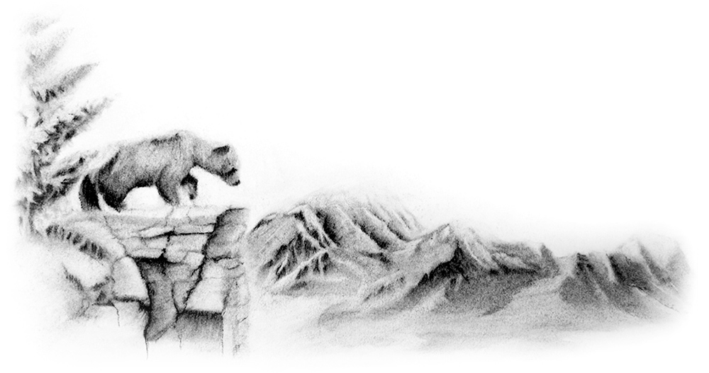 A charcoal drawing of a bear standing on a cliff overlooking the mountains