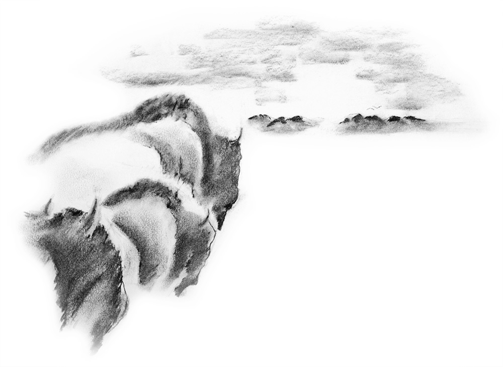 A charcoal drawing of three bison looking towards cloudy mountains
