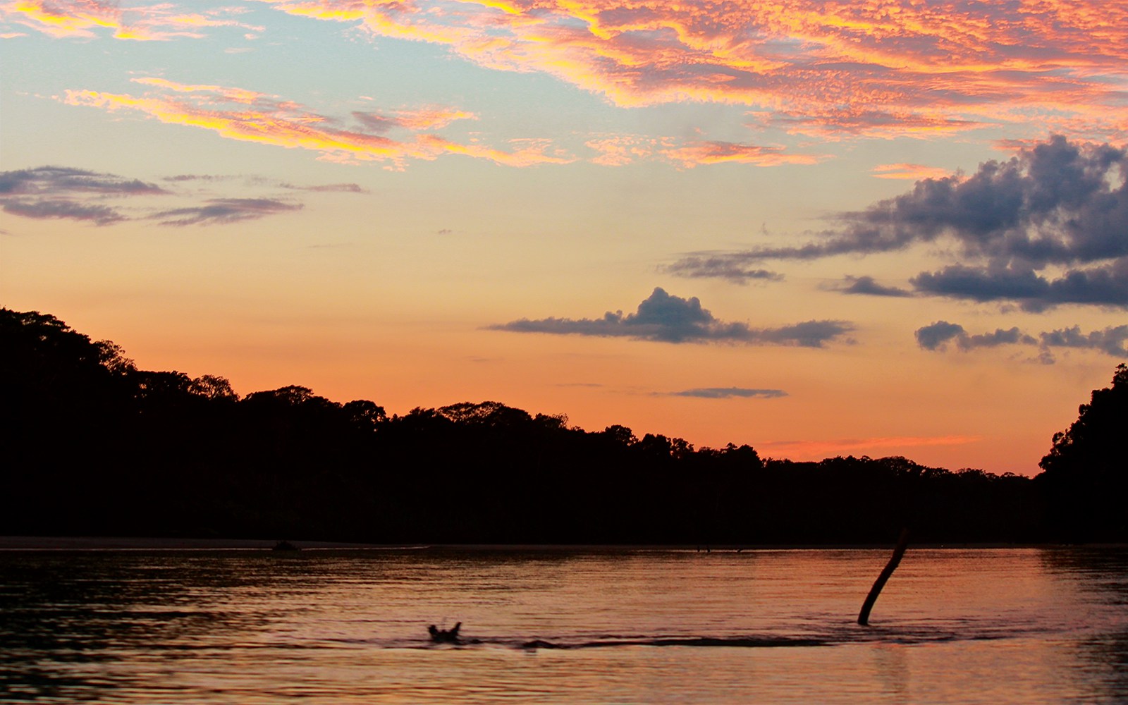 Launching Canoes for Peru