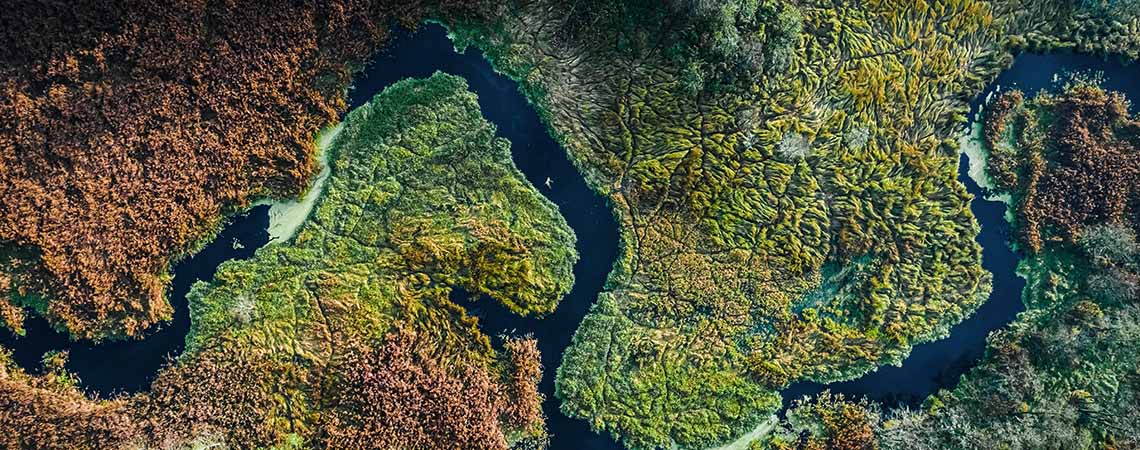 top down photo of a river winding through a forest and grasslands.