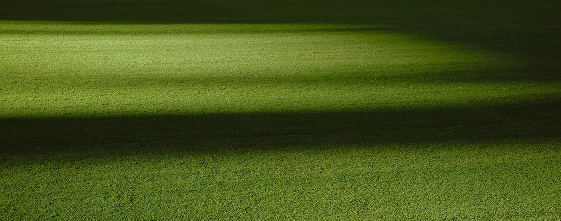 Dramatically lit grass on a sports field.