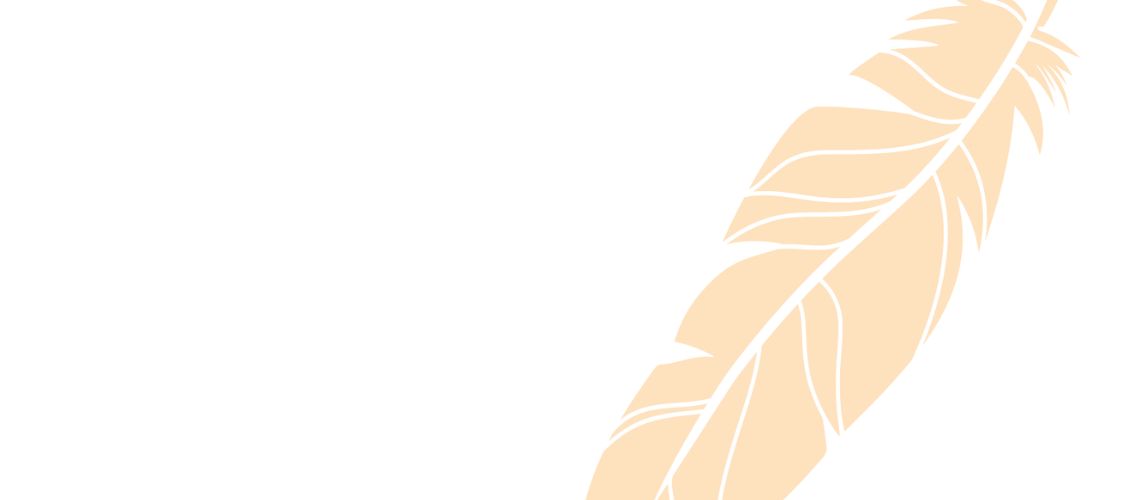 The outline of an orange feather.