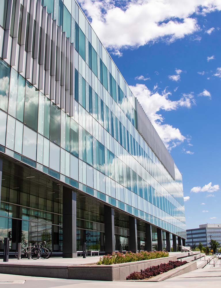 Photo of a walkway with planted beds outside a modern looking building.