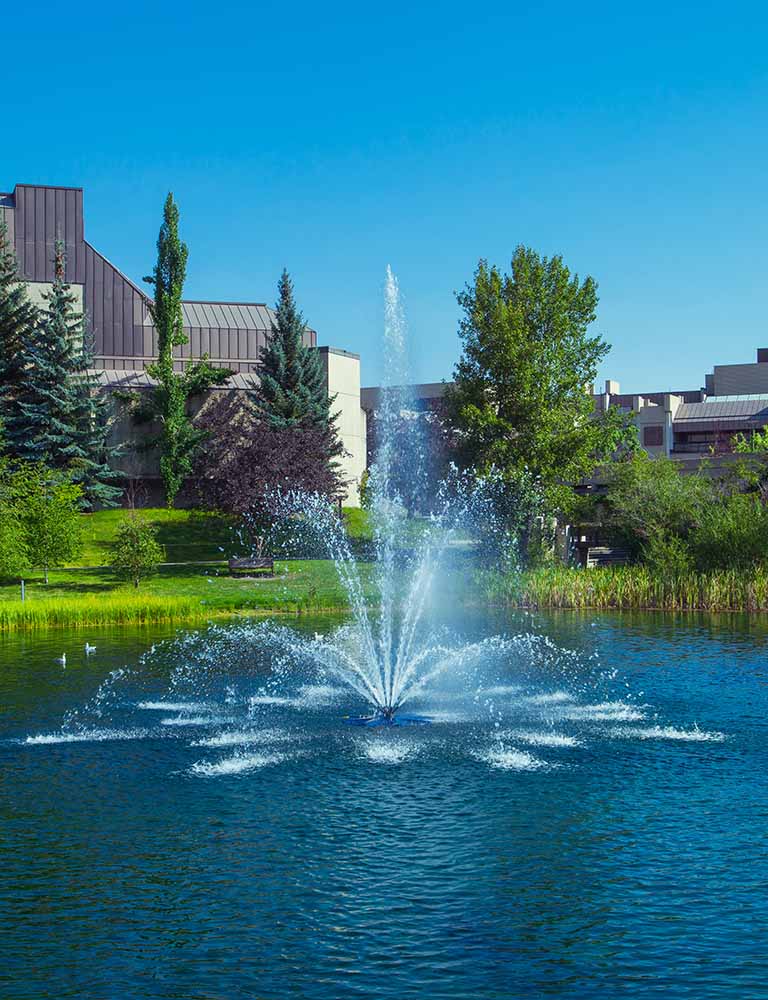 Photo of a fountain framed by foliage and buildings.