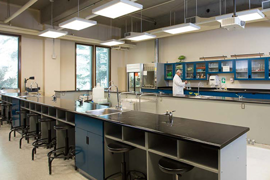Lab benches with stools, sinks and gas outlets with cupboards filled with scientific equipment in the back of the room.