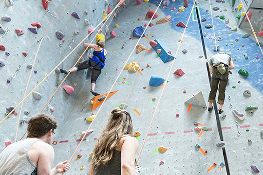 A small group of people climbing an indoor climing wall.