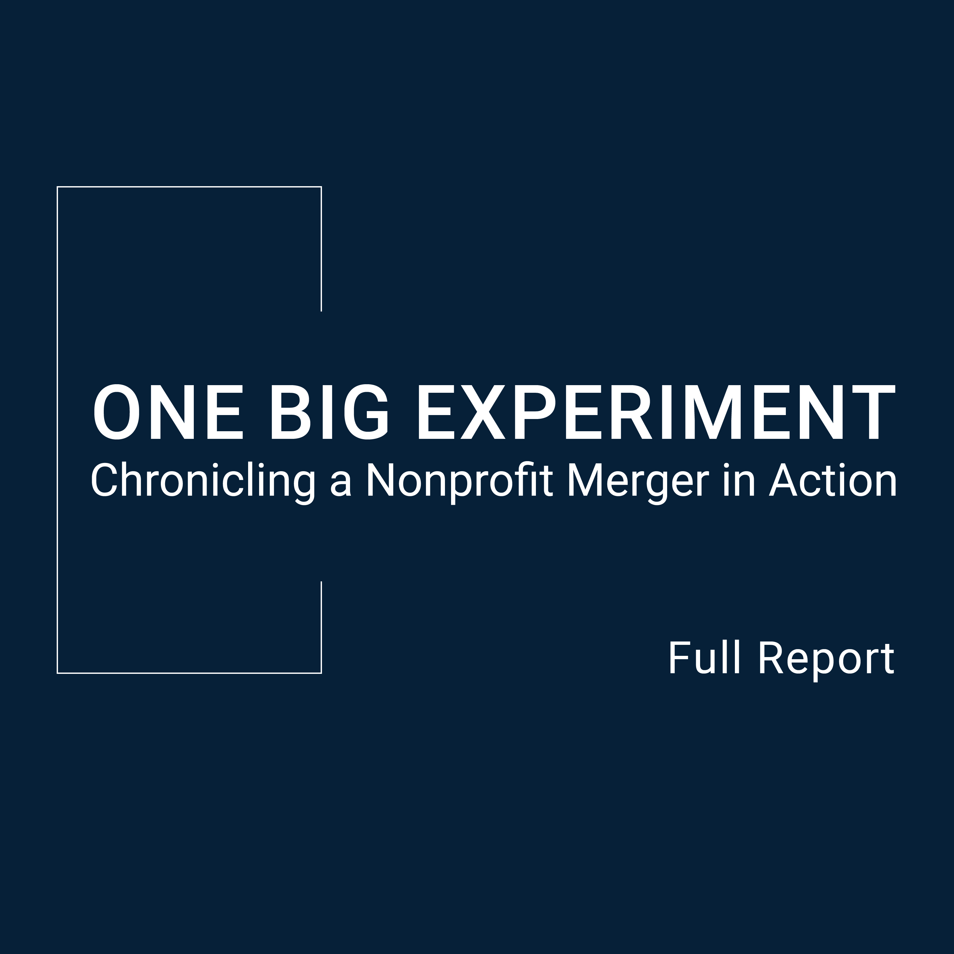 One-Big-Experiment--Full-Report.png