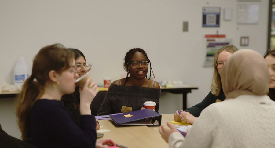 Catamount Trio - Starlings Community