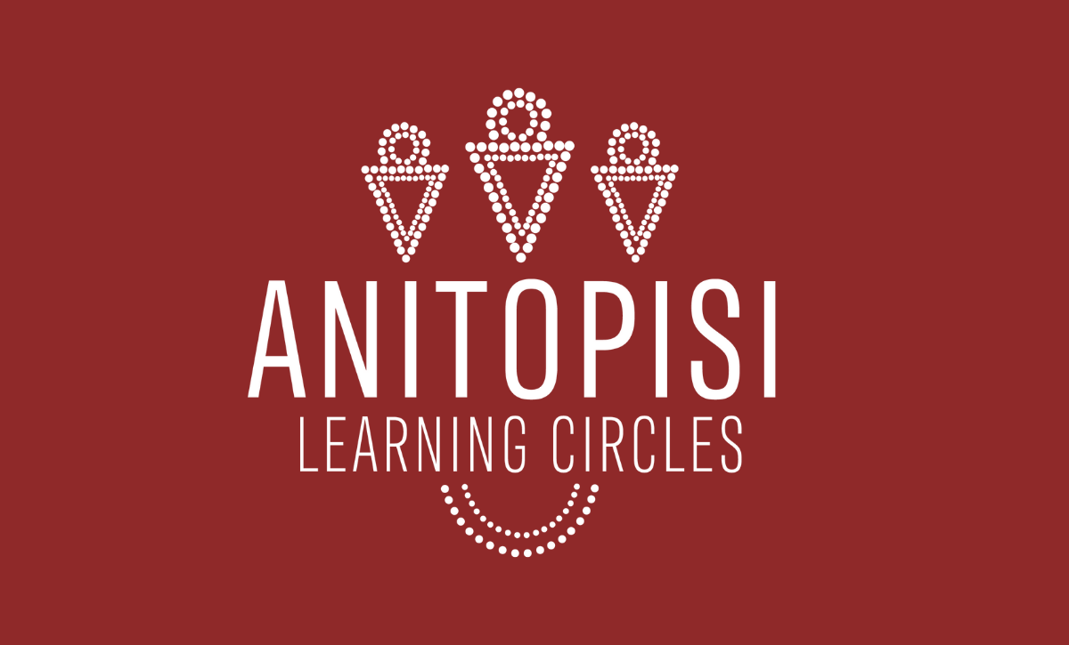 Anitopisi's branded image preview