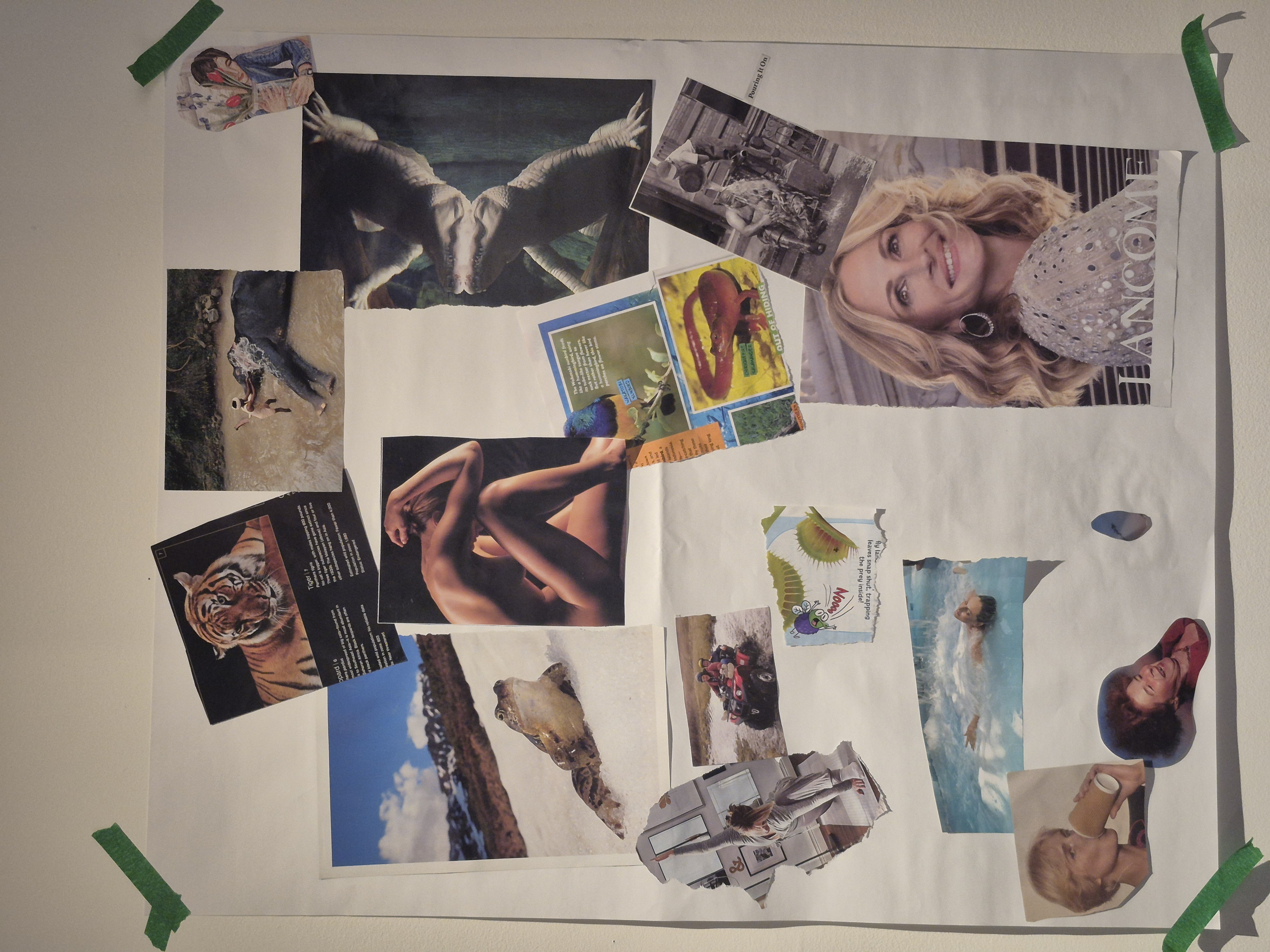 YouthAutonomy Collage Activity