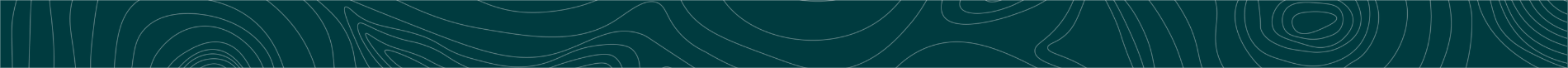 Green-Banners-BanffSystemsSummit
