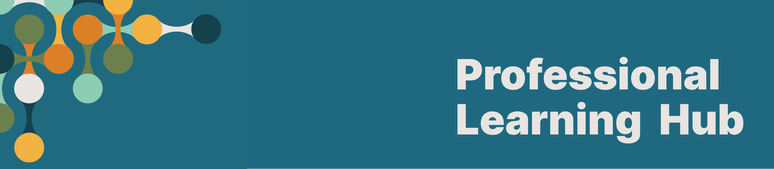 About Professional Learning