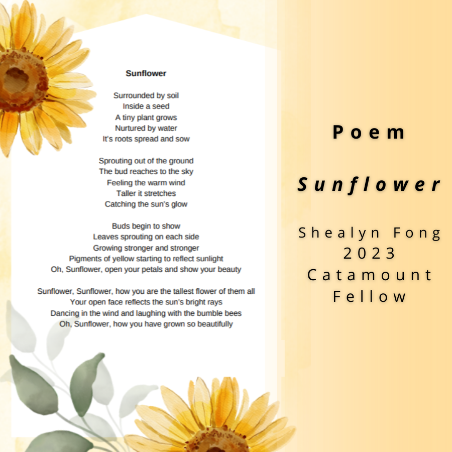 Poem Image. Shealyn Fong