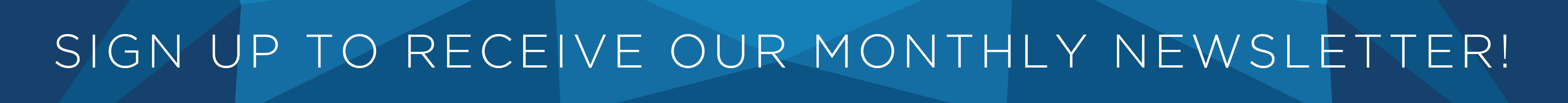 Newsletter Button