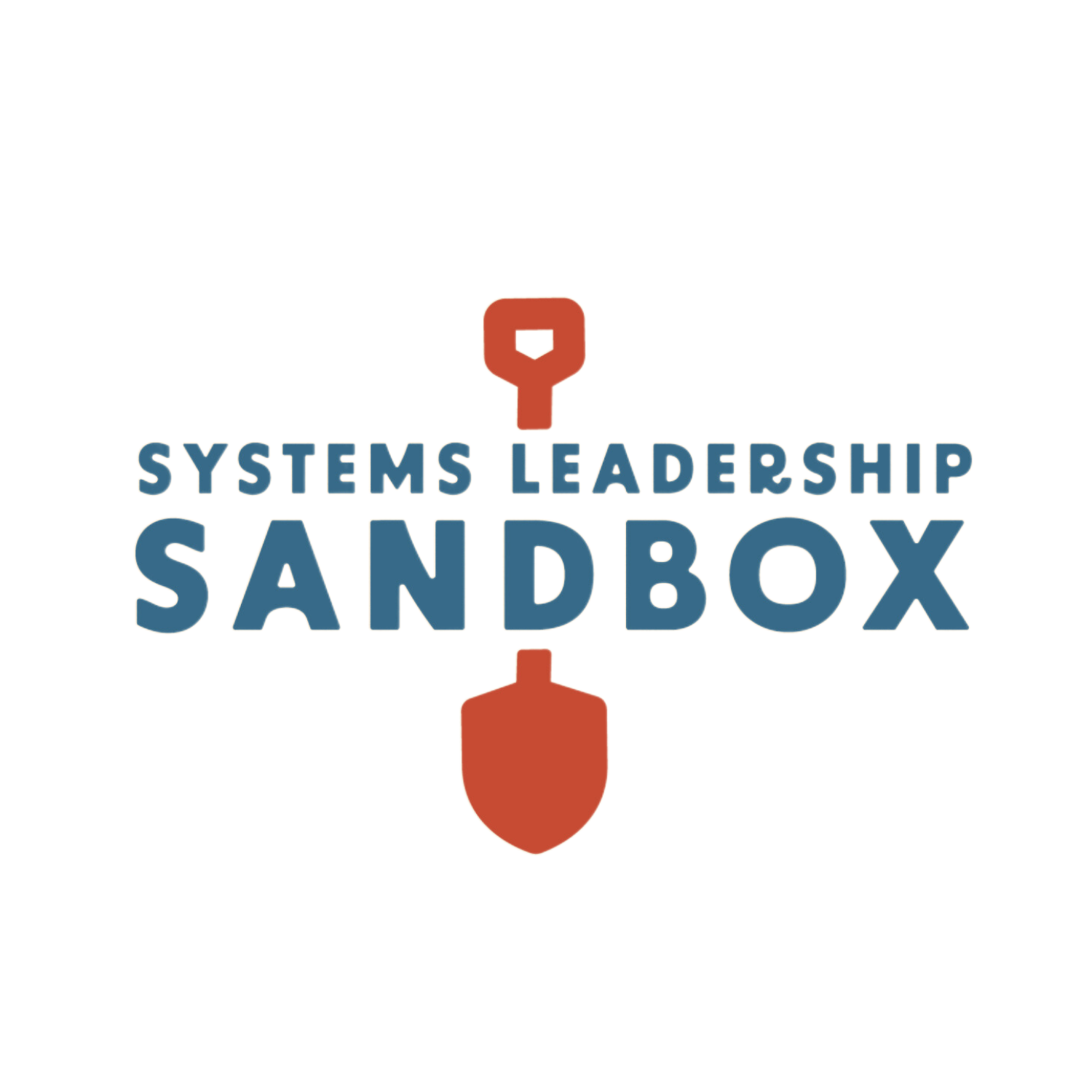 Community Program Social Innovation Practitioner Edu