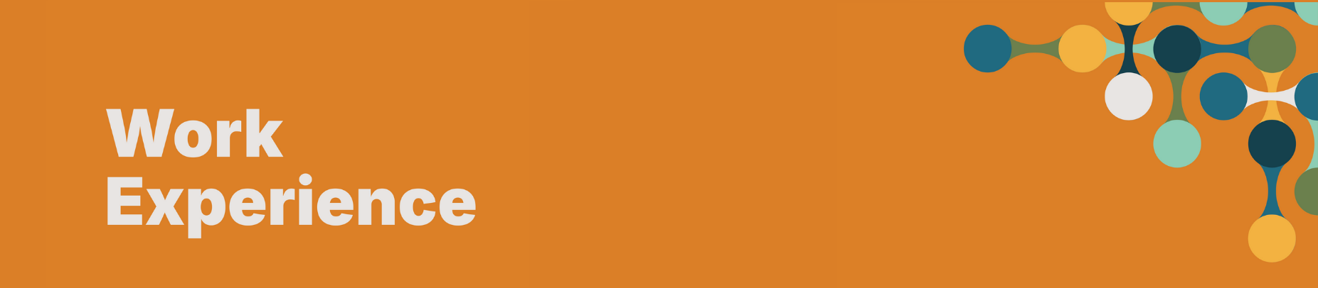 Work Experiences for Students at the Institute for Community Prospeirty at Mount Royal University 2025